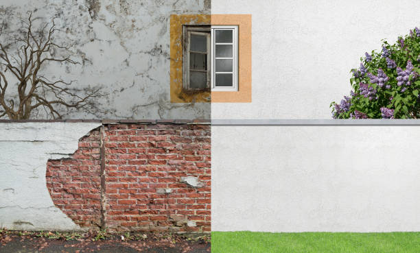 Best Post-Construction Mold Inspection  in Altamont, OR
