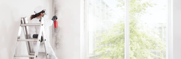 Best Industrial Mold Remediation  in Altamont, OR