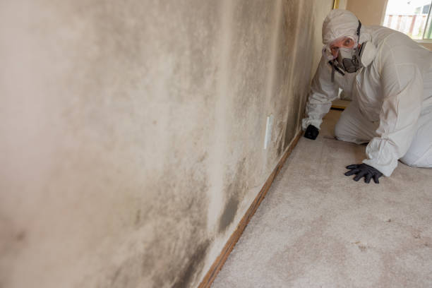 Best Crawl Space Mold Remediation  in Altamont, OR